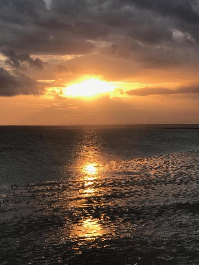Pistyll Gwelfor Seaviewヴィラ エクステリア 写真